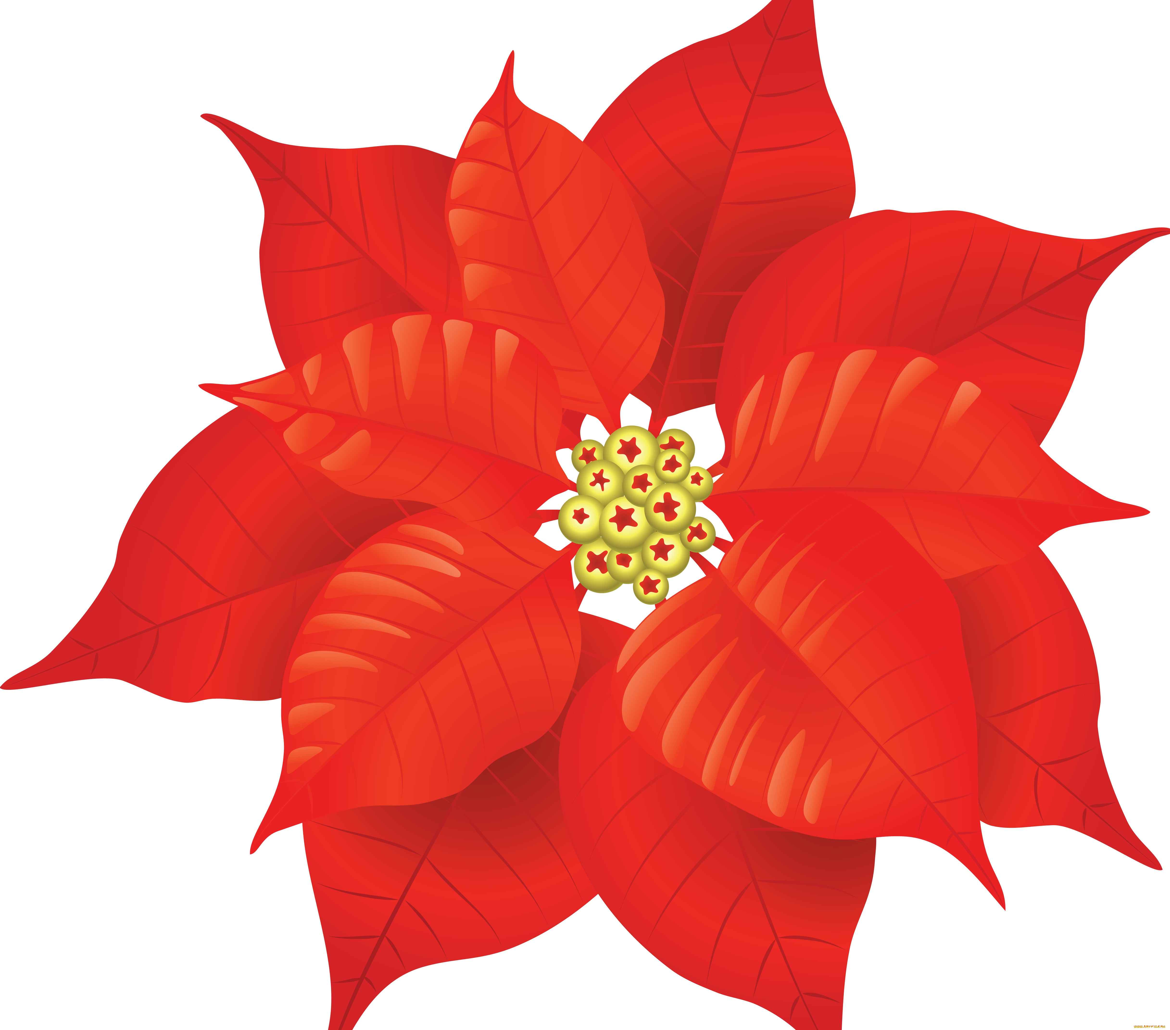  ,  , flowers, , , 